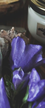 Flower picture